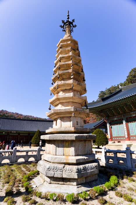 五台山月精寺衫松林道