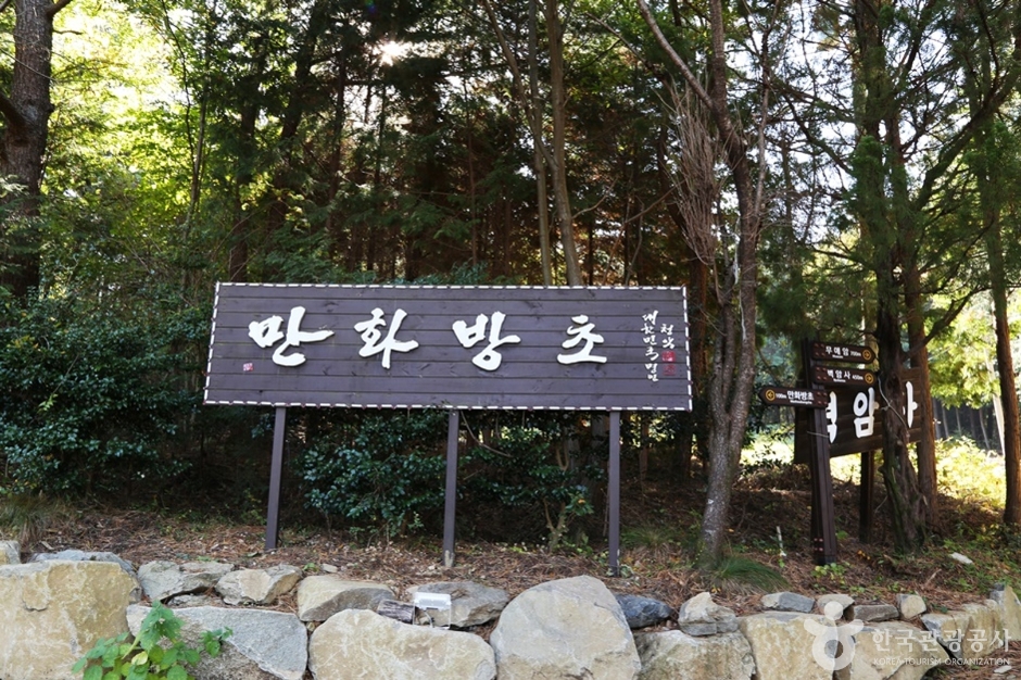 万花芳草