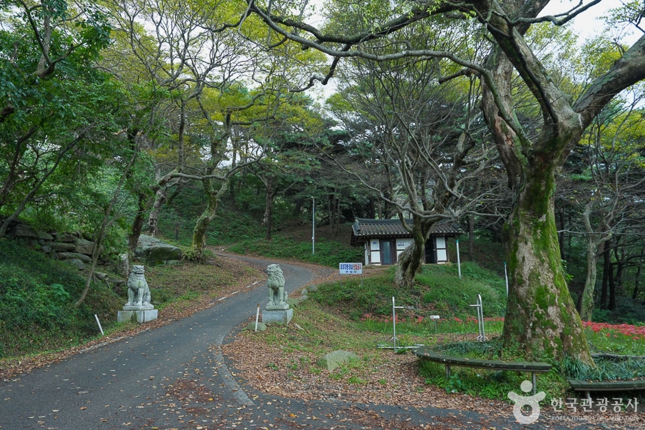 [Seosan Arame Trail] Dobi Maru Trail