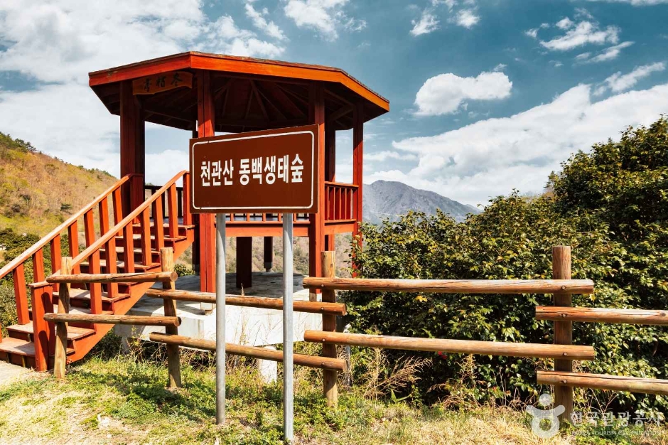 Cheonwansan Camellia Ecological Forest