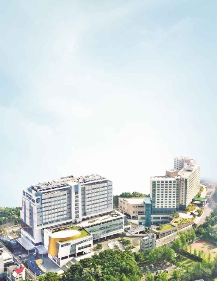 가톨릭관동대학교 국제성모병원(1)