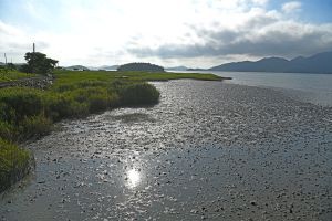 오산어촌체험마을