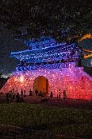 2025 국가유산 미디어아트 배경 이미지