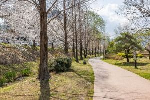 기적의놀이터 3호