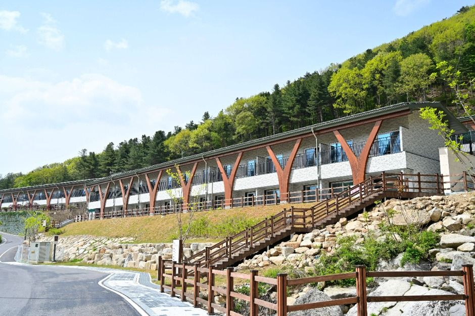 国立鎮安高原森林治癒院（国立智德圏森林治癒院）