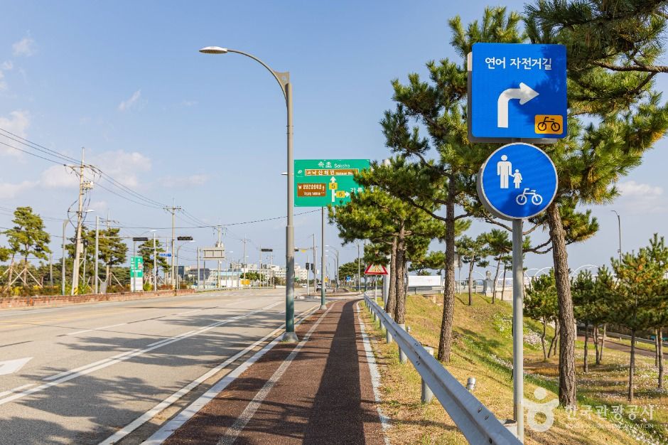 サーモン自転車道