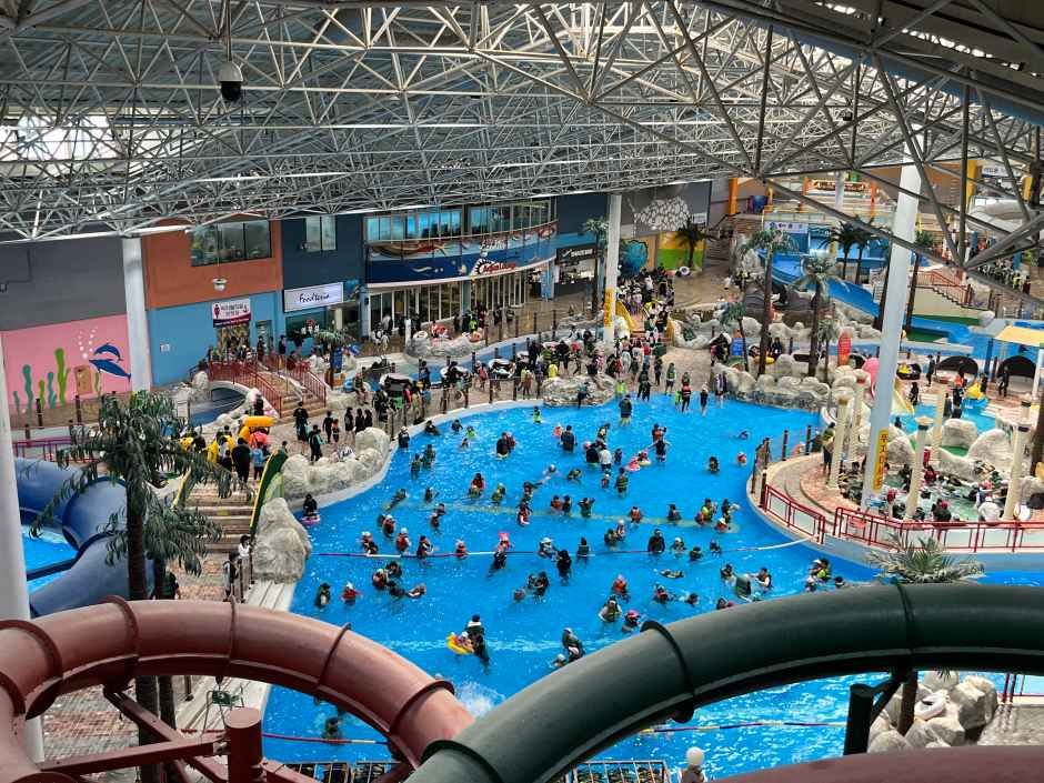 천안_천안상록리조트 아쿠아피아 (1).JPG