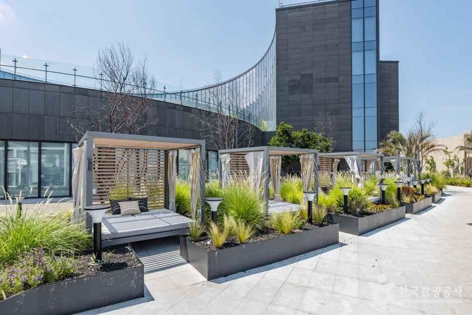 신라스테이 플러스 이호테우