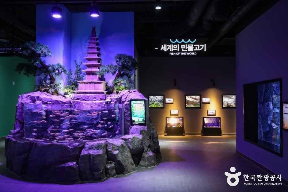 충주아쿠아리움