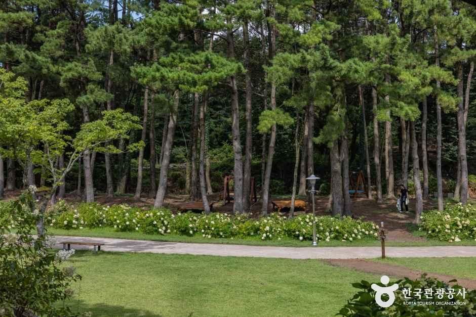 제주_이끼숲소길 (11).jpg