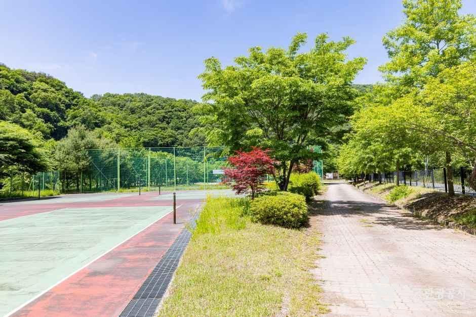 원남테마공원캠핑장