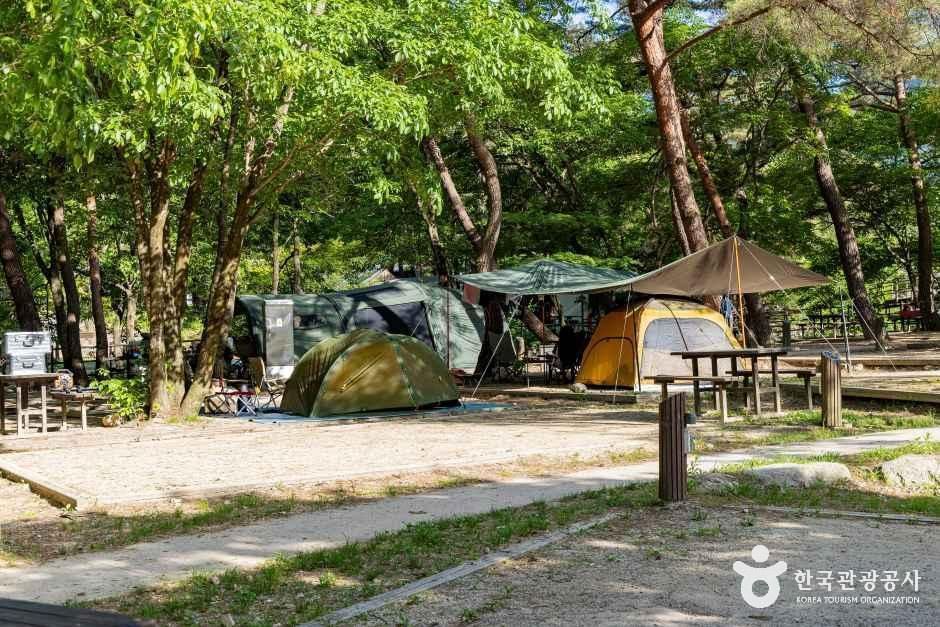 월악산국립공원 닷돈재야영장
