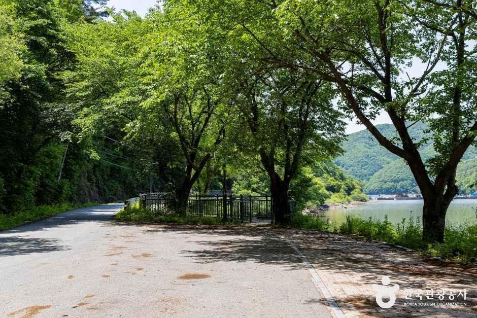 원남저수지(원남제) 사진 4