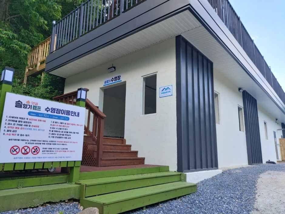 영월솔향기캠프펜션