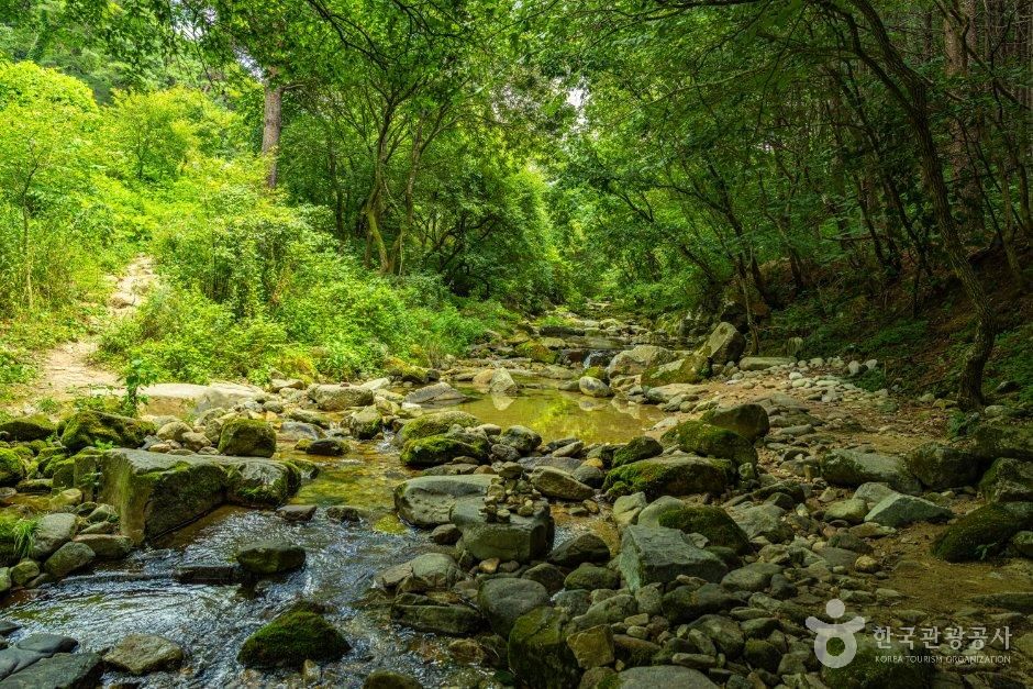 강원_원주시_백운계곡(원주) (4).jpg