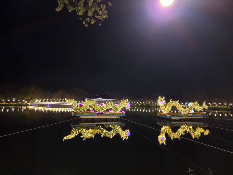 Buyeo Chrysanthemum Festival