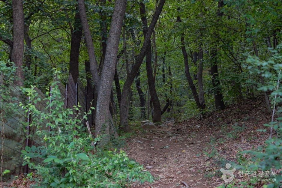 고용산(고룡산) 사진 4