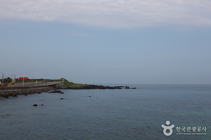 이호 테우해변 이호 테우해변
