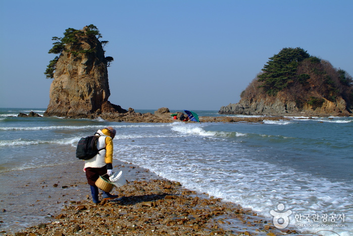 꽃지해수욕장 꽃지해수욕장