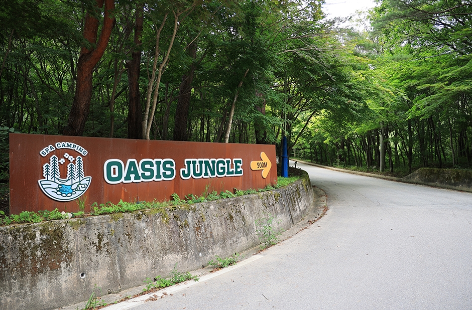 Oasis Jungle