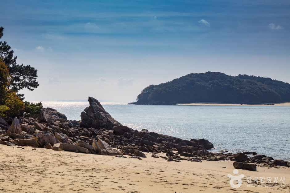 계남해변 사진 4