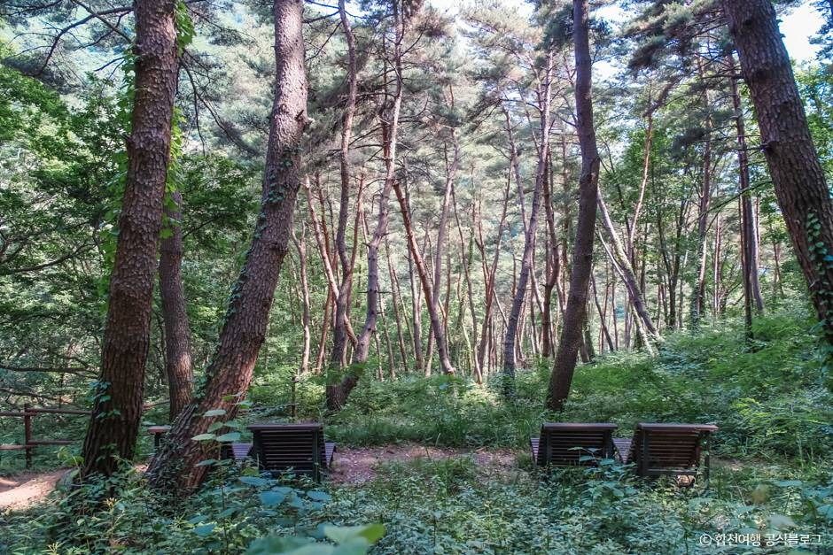 오도산자연휴양림