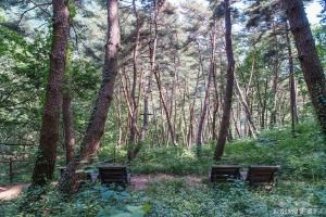 오도산자연휴양림