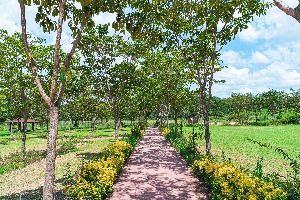 부안 줄포만 노을빛 정원