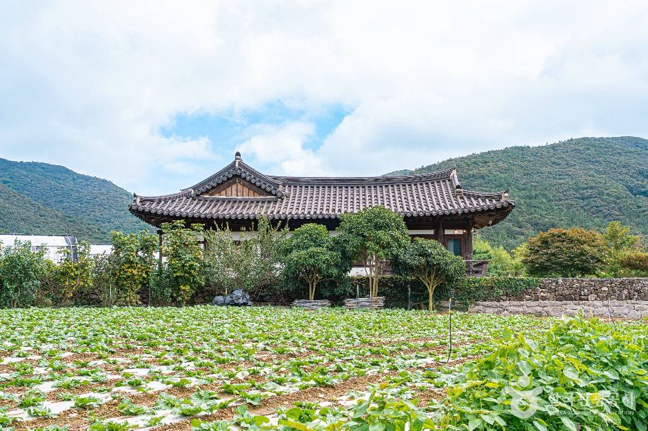 珍岛 义新泗川村 [农村体验休养村]