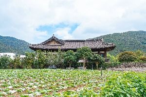 진도 의신사천마을 [농촌체험휴양마을]