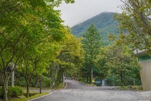 와룡자연휴양림