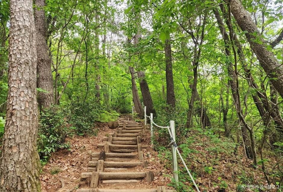 Jeongbyeongsan Mountain