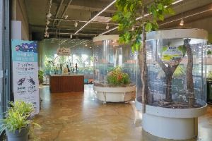 3584975 image3 1 예스키즈존 탐험대 : 실패 없는 육아여행