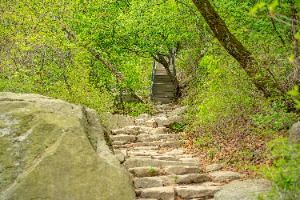서울_관악산 (3)
