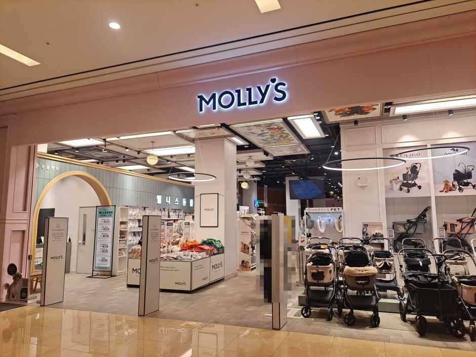 몰리스펫샵 스타필드 고양점