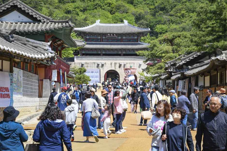 문경찻사발축제