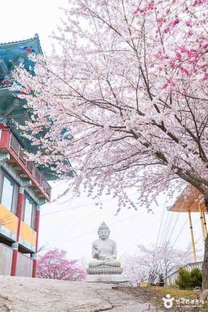 안면암(태안)
