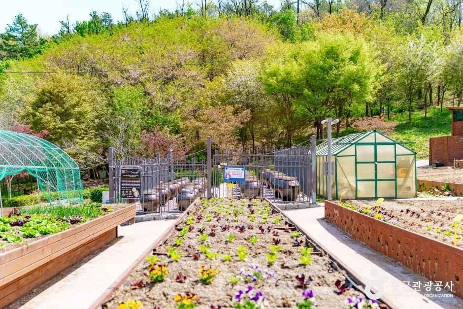 양천도시농업공원