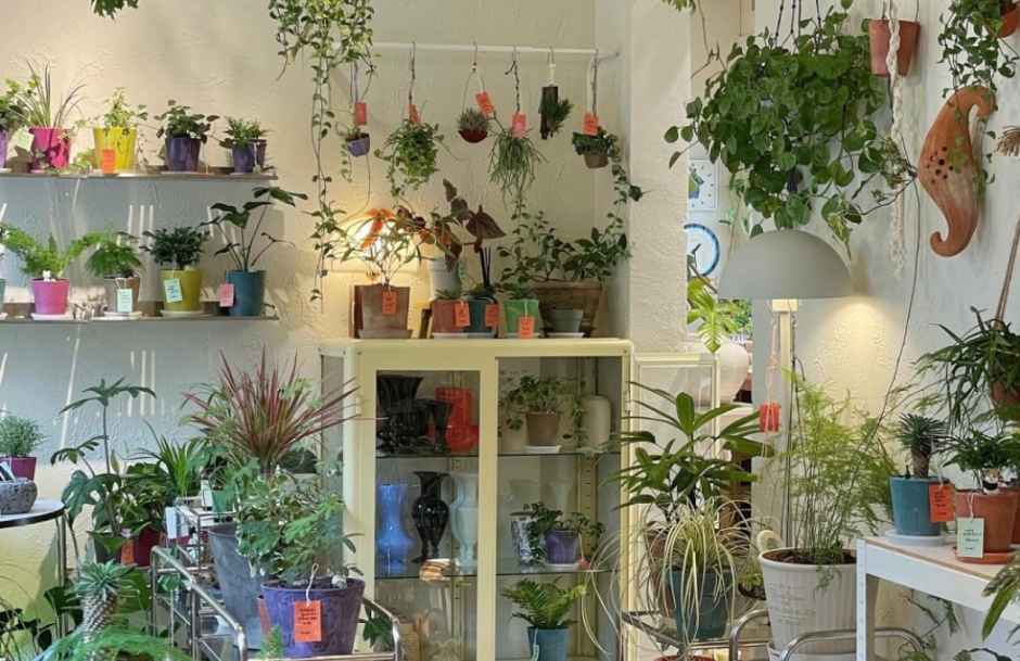 PAPER GARDEN Flagship Store img2
