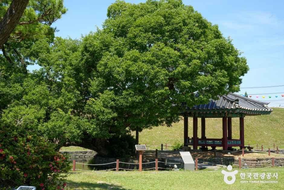 홍성 홍주읍성