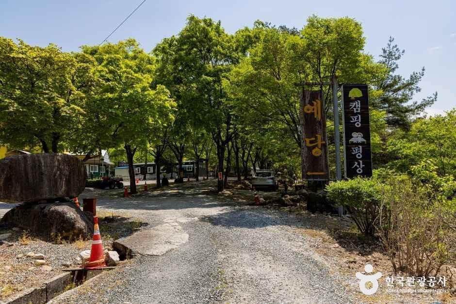 쌍곡예당