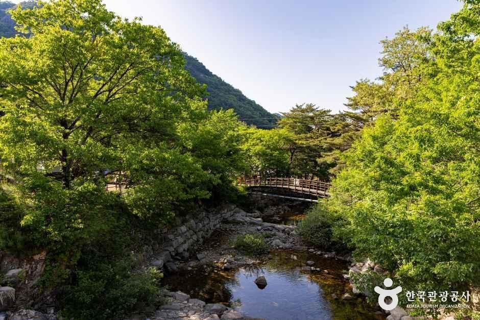 월악산국립공원 닷돈재야영장