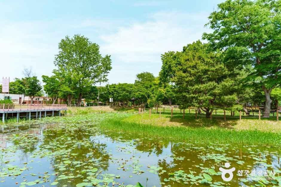 평택_바람새마을 소풍정원 (4).jpg