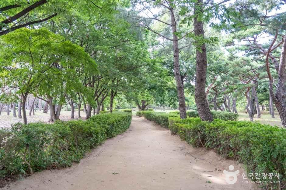 김해수로왕릉