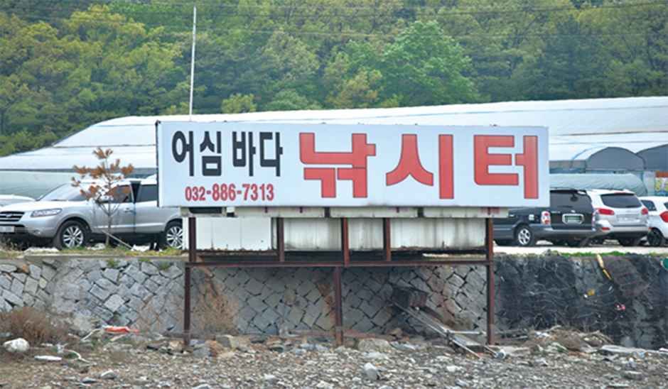 [대부해솔길] 3코스