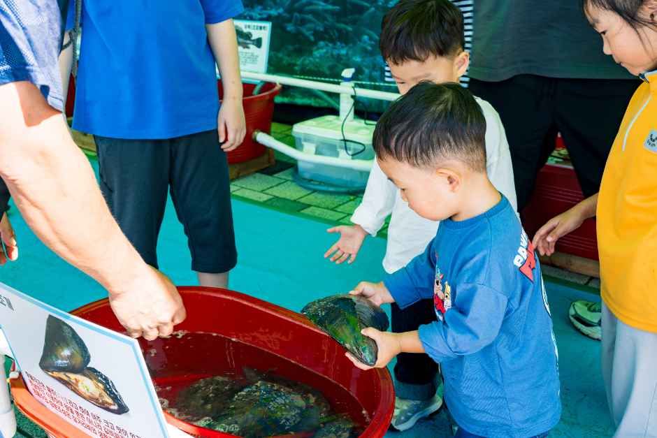 무창포 신비의바닷길축제 사진 8