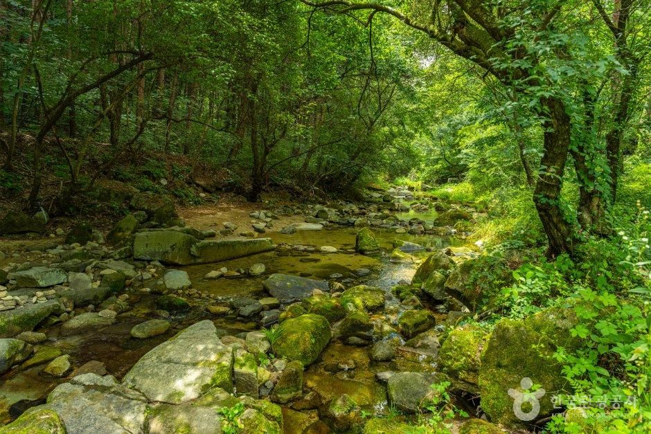 강원_원주시_백운계곡(원주) (5).jpg