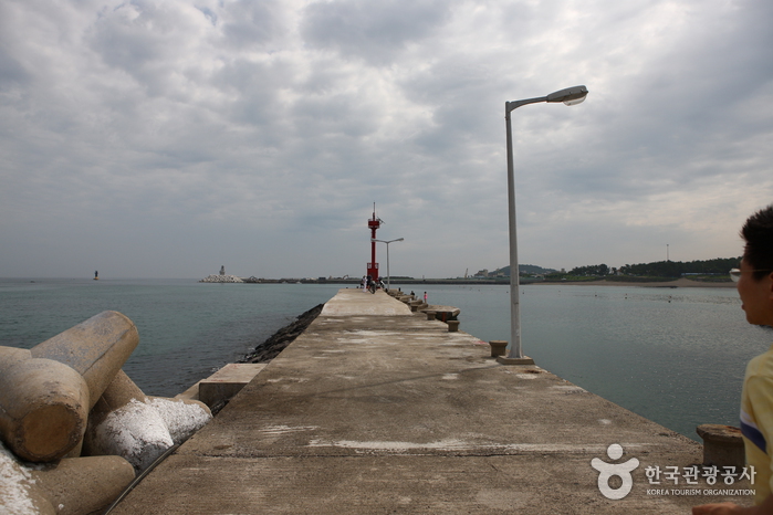 이호 테우해변 이호 테우해변