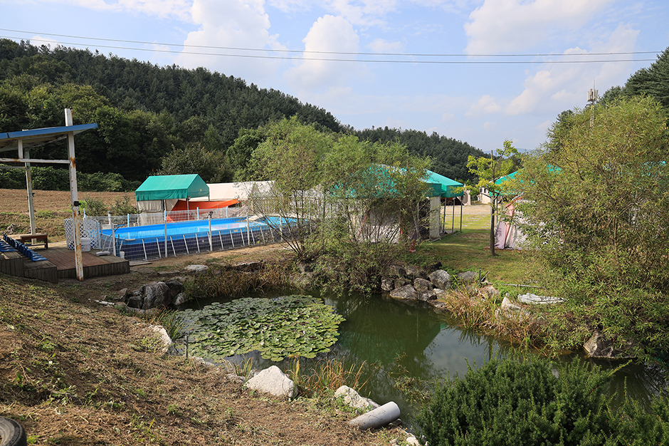 Link Dog Park豪华露营&自动露营地