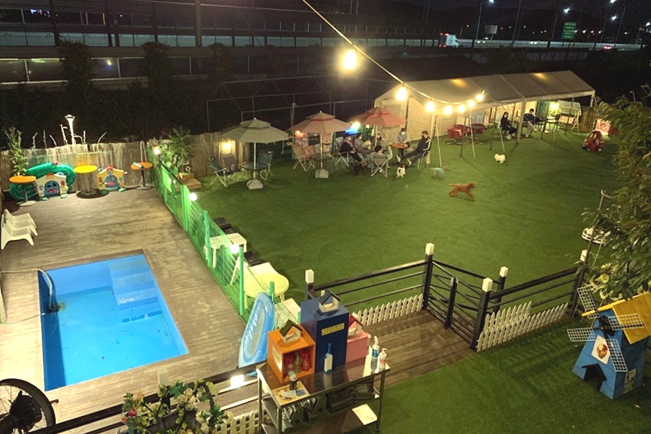 犬の遊び場 仁川店